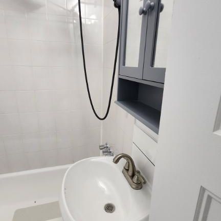 beau 3 et demi, A ROSEMONT, AV PAPINEAU, LIBRE PRESENTEMENT - Photo 1