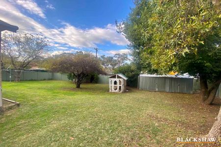 Renovated three bedroom home in the heart of Woden - Photo 2