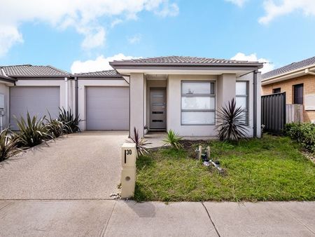 30 Haflinger Avenue Clyde North VIC - Photo 2