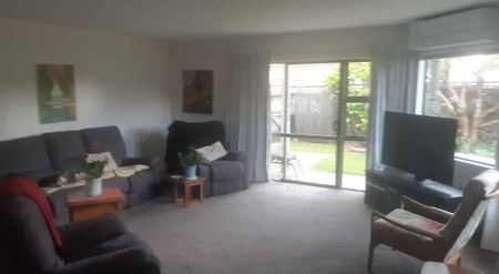 Sunny Waikanae Beach Home - Photo 3