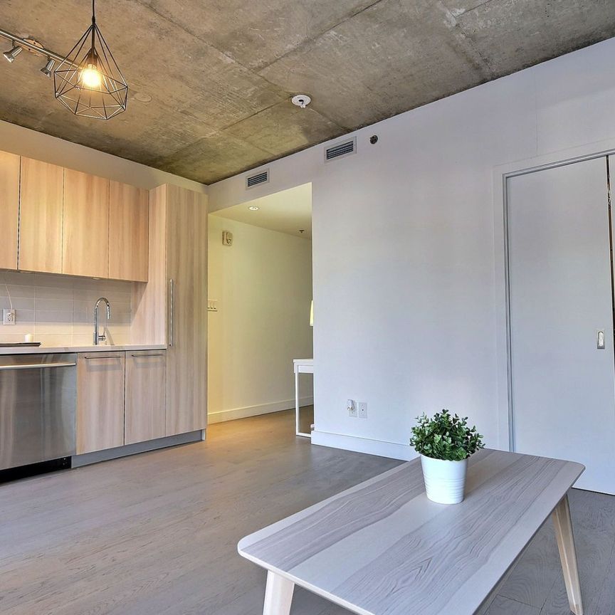 Appartement à louer à Montréal (Ville-Marie) - Photo 1