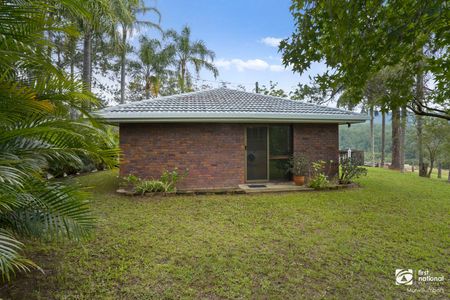 The Cottage - Peaceful Hinterland Living in Limpinwood - Photo 4