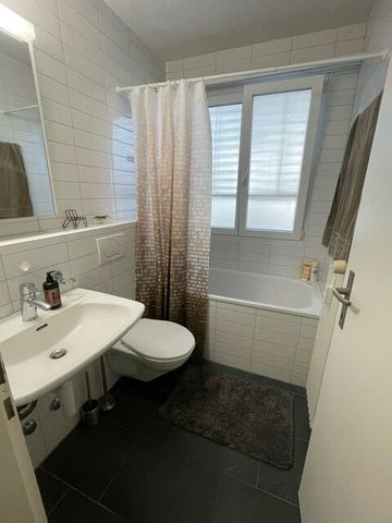 31/2-ROOM APARTMENT IN BOTTMINGEN (BL), FURNISHED, TEMPORARY - Foto 2