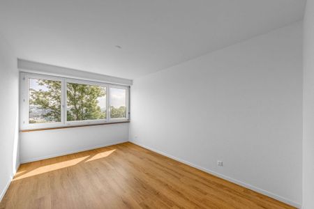 Über den Dächern von Basel - Foto 4