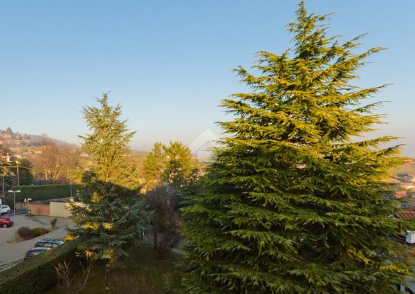 Villa singola in affitto