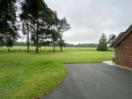 2 bedroom detached house to rent - Photo 3