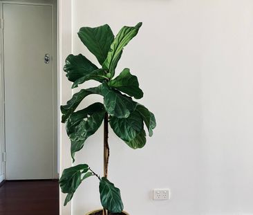 Coolbellup - Photo 3