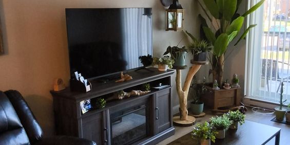 Logement 4 1/2 - Photo 3
