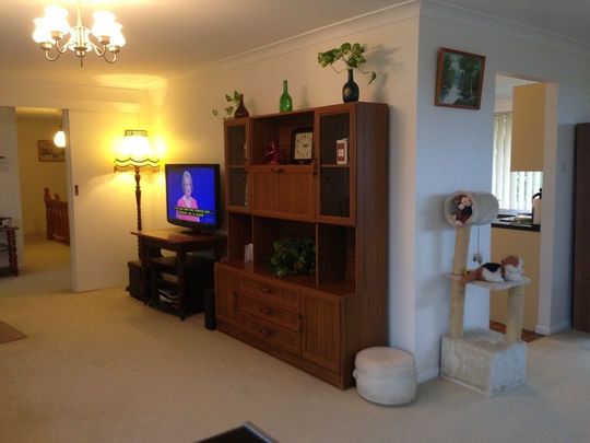 Large family sized furnished home - Photo 1