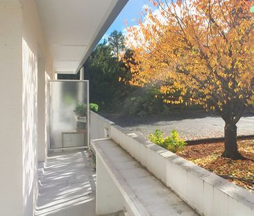 APPARTEMENT EN REZ DE CHAUSSEE RENOVE - Photo 6