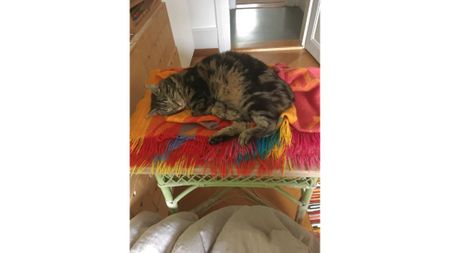 3 Zimmer-Wohnung in Bern - Obstberg/Schosshalde, möbliert, auf Zeit - Foto 5