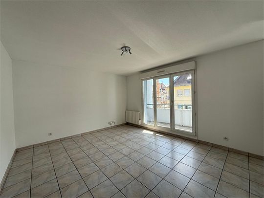 Location Appartement 2 pièces 45m² ST LOUIS 68300 - Photo 1