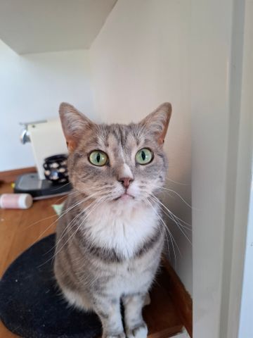 Blodstensvägen, Uppsala - Photo 3