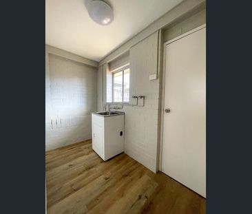 Renovated 3bd Cottage Style Home - Photo 4