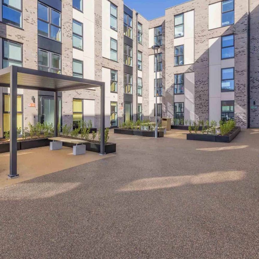 Gold Ensuite - Photo 1