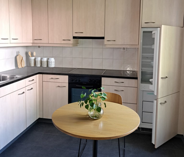 Wohnen in ruhiger Lage - Foto 3