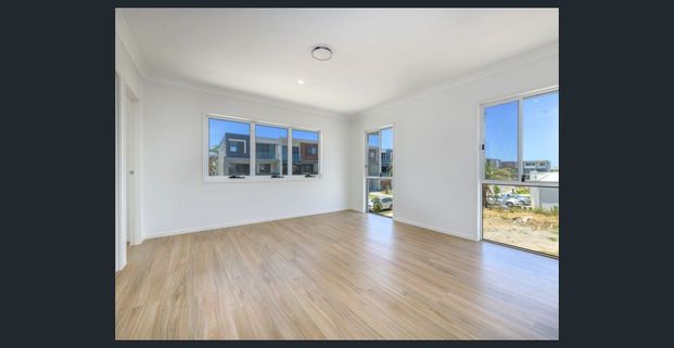 Massive and Modern Five Bedroom Waterfront Marvel - Hope Island - Photo 1