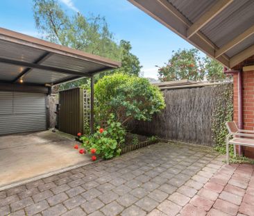 35 Margaret Street, North Adelaide - Photo 6