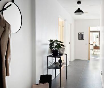 Lugna gatan, Malmö - Foto 2