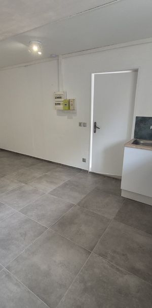 Location Appartement 1 pièce 20m² ANZIN 59410 - Photo 1