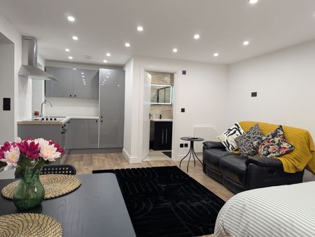 Studio Flat, Wigginton Avenue, HA9 - Photo 2
