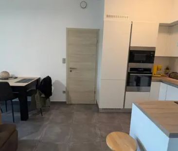 Rue Emile Mathieu 4 1, 7333 Tertre, België - Foto 4