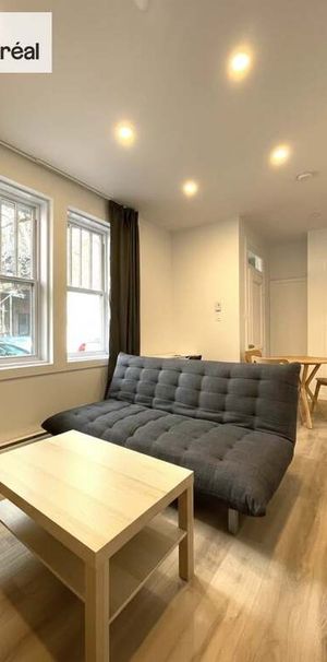 3 1/2 - Plateau Mont Royal - Photo 1