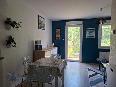 Location Appartement 1 pièce 29m² CASTRES 81100 - Photo 3