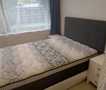 Matua Studio Flat Fully Furnished and Renovated - Photo 2