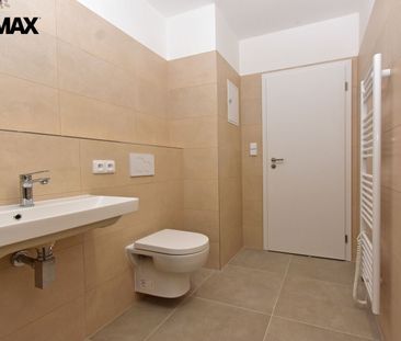 Pronájem bytu 2+kk v osobním vlastnictví 67 m², Husinec - Fotografie 4