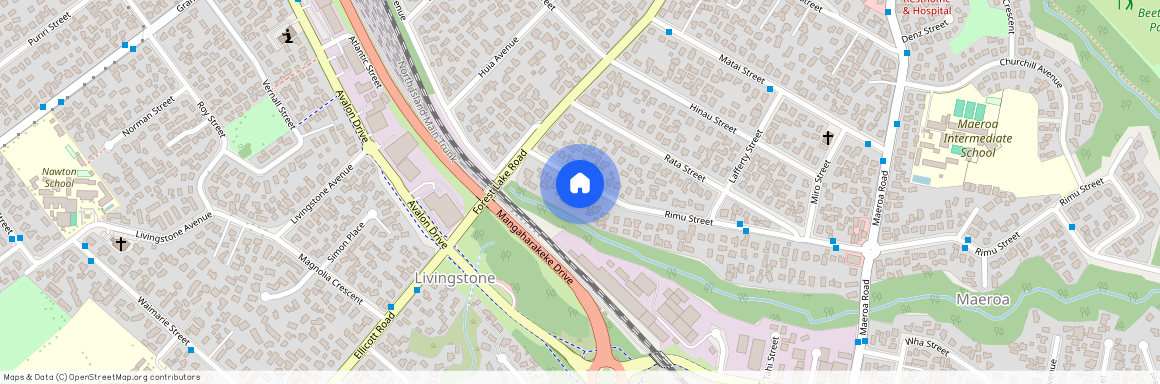 4/155 Rimu Street, Maeroa, Hamilton City