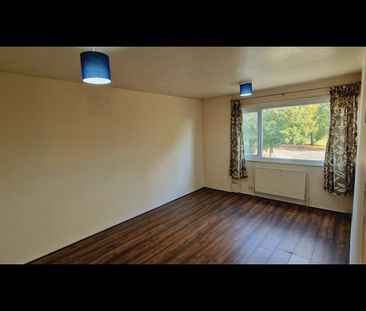 shiredale drive - Photo 6