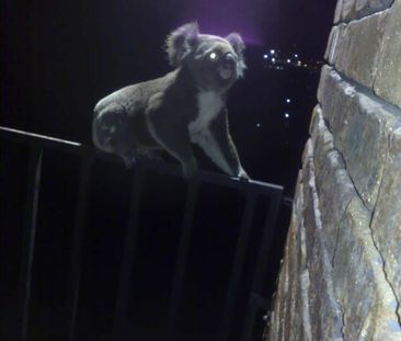 Four bedroom home with amazing views. Includes water, electricity &... - Photo 1