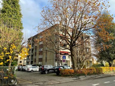 Ihre neue Wohlfühloase in Kriens - Photo 3