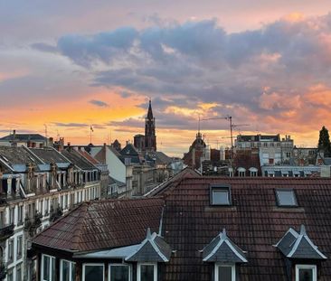 Location Appartement 2 pièces 51m² STRASBOURG 67000 - Photo 3