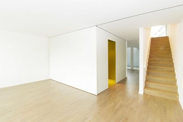 Duplex apartment with view of Lenzburg Castle - Photo 1