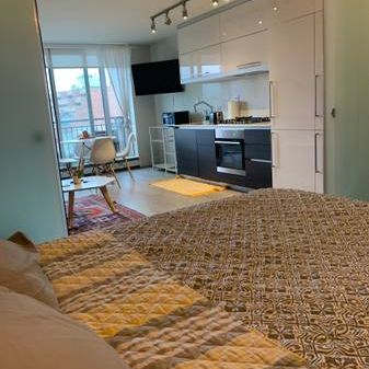 Modern Furnished, Dog ok, 1 bed/1 bath - Photo 3