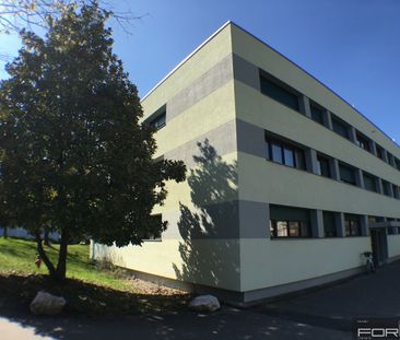 Appartement rénové de 2.5 pièces à Onex - Foto 2