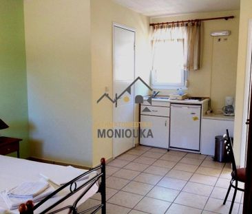 Studio/Γκαρσονιέρα για ενοικίαση Άγιος Μηνάς (Χίος) - Φωτογραφία 3