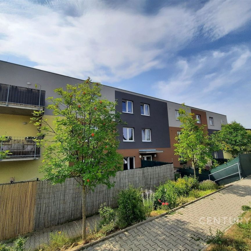 Pronájem bytu 1+1 59 m² - Фото 1