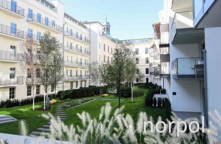 angel wawel - Photo 3