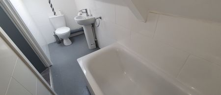 167 Richmond Road, Roath, Cardiff, CF24 3BT - Photo 5