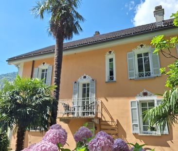 1 Zimmer, 45 m² - Foto 4