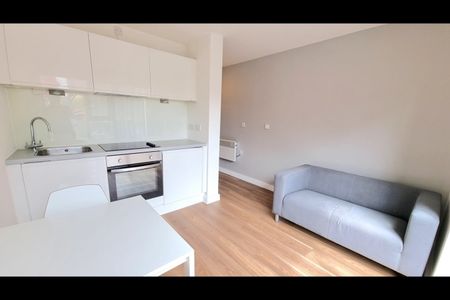 Studio Flat, Gradwell Street, L1 - Photo 4