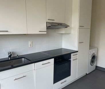 Bord de l'Arve - Foto 1