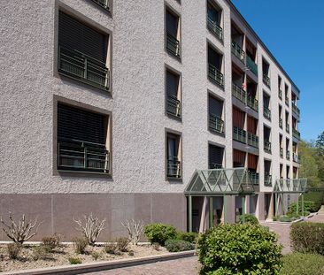 Rue Maurice-Braillard 4 - Photo 2