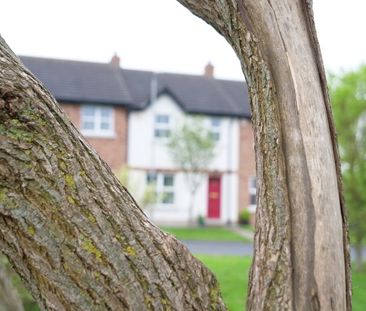 39 Baltylum Meadows, Portadown, BT62 4AB - Photo 1