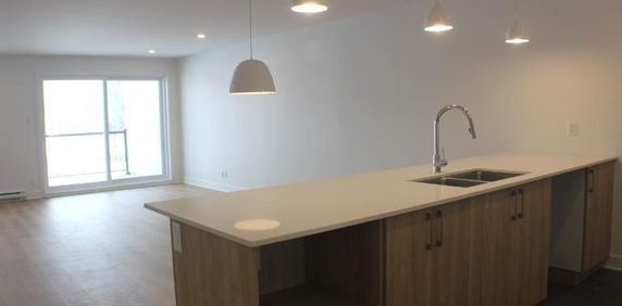 3 CH - 1 SDB - Granby - $1,625 /mo - Photo 2