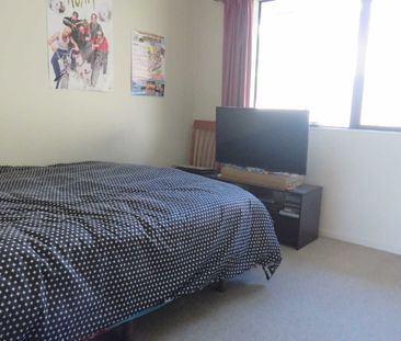 20 St Lawrence St, Toi Toi, Nelson - Photo 3