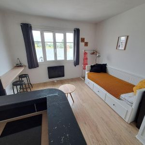 Location Appartement 1 pièce 19m² NANTES 44000 - Photo 2